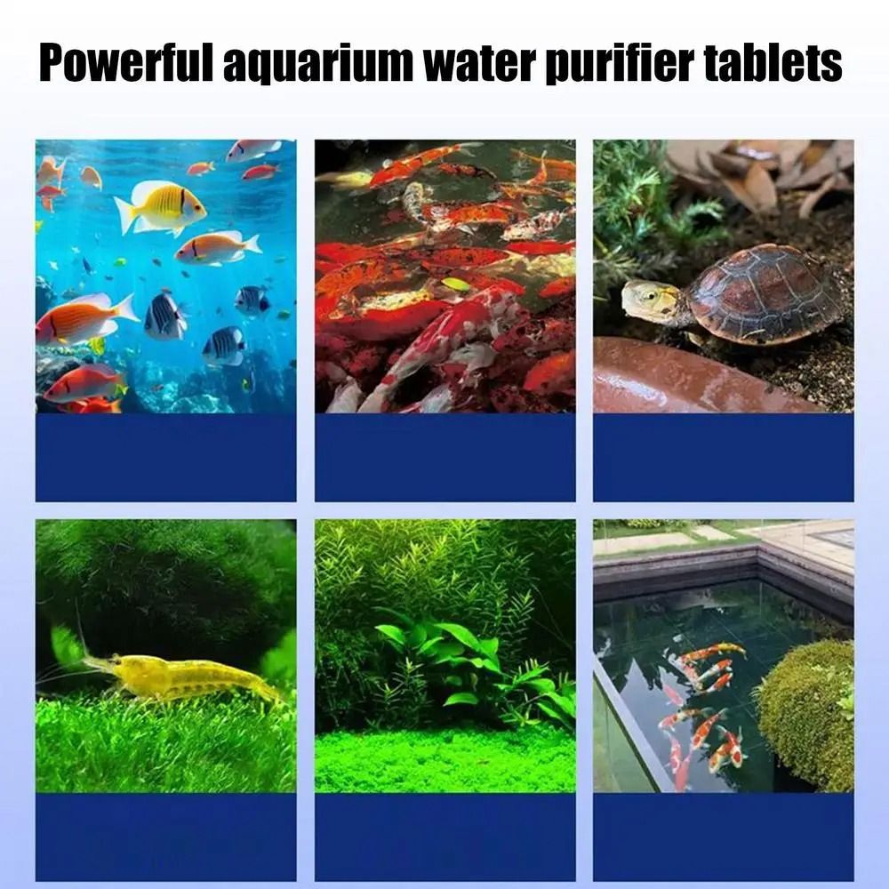 Potężne tabletki do oczyszczan – Water Purification Tablet recenzja i cena